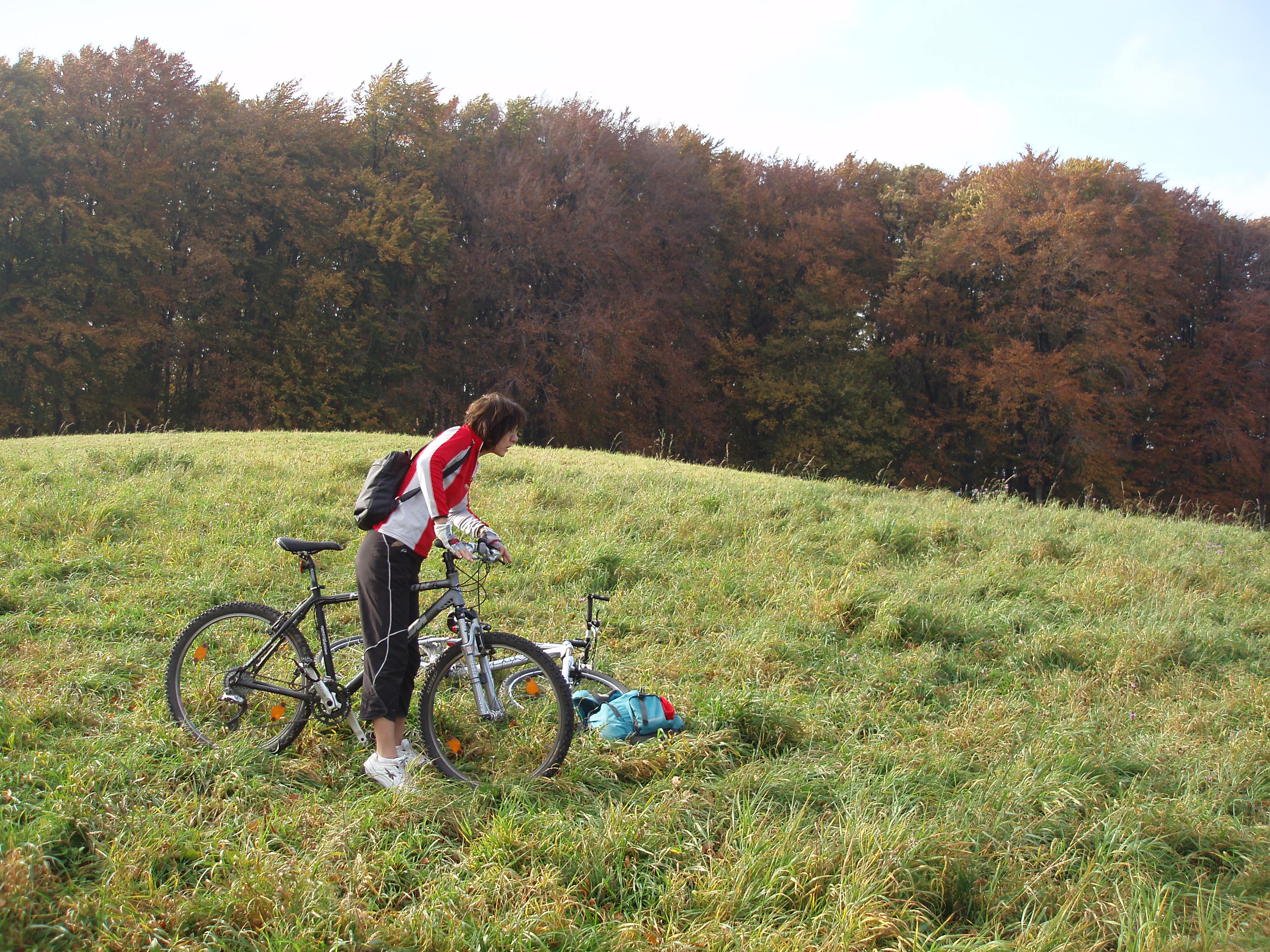 Schliessen von PA263366.JPG