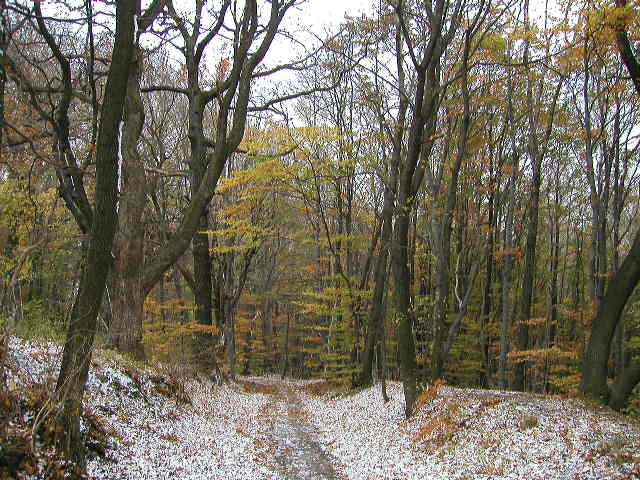 Schliessen von PB040001.JPG