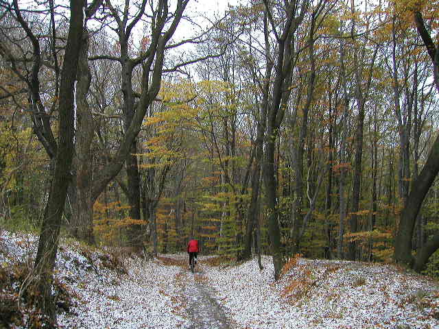 Schliessen von PB040003.JPG