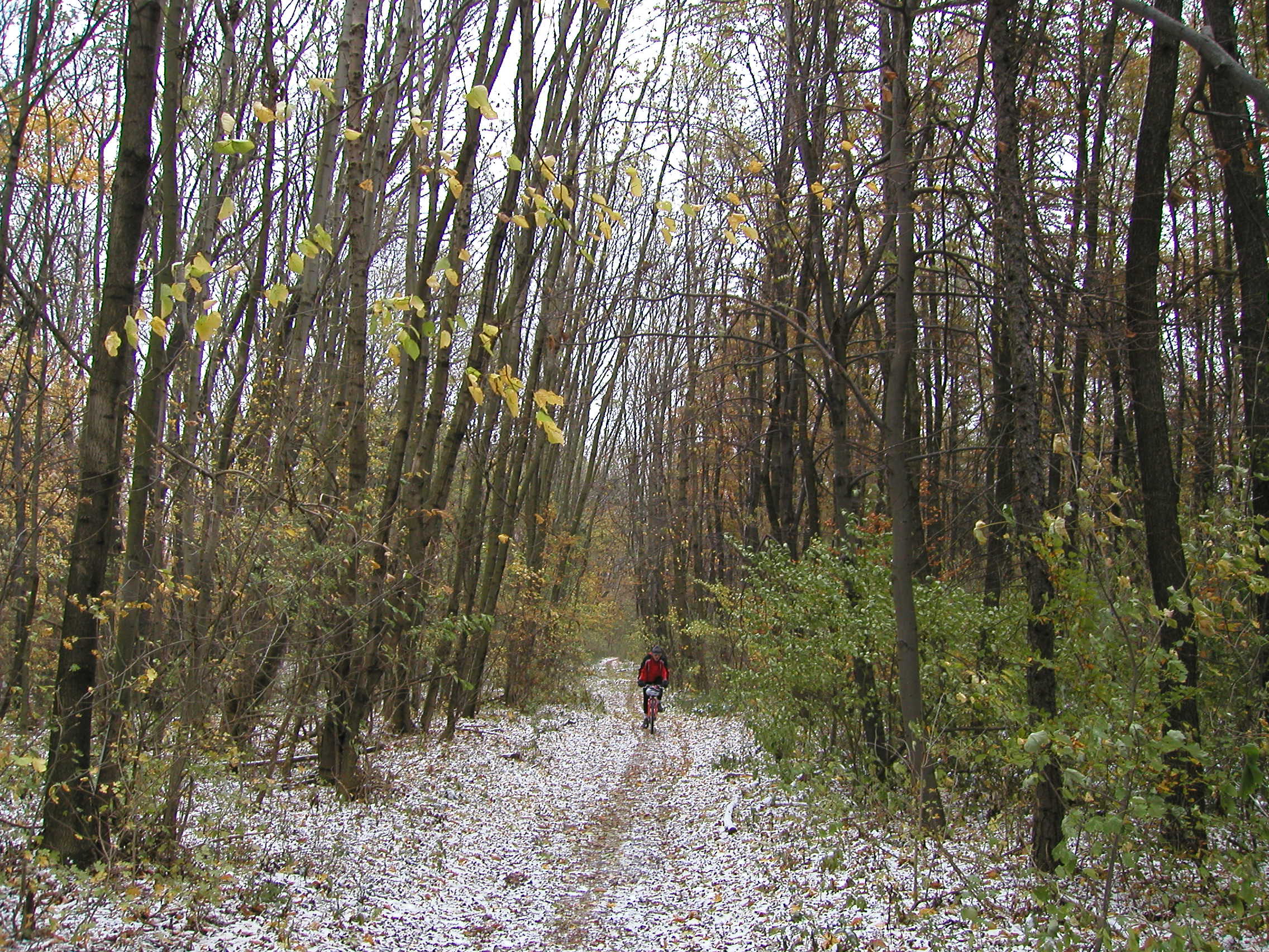 Schliessen von PB040004.JPG